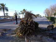 El temporal de vent deixa desenes d’arbres caiguts, una ferida lleu i diversos abonats sense llum al Maresme