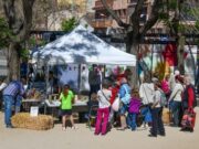 Rubí celebra una edició renovada del Dia de la Terra amb activitats per a tots als seus veïns