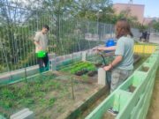 La comunitat educativa i associativa de Rubí celebra una setmana dedicada a la sostenibilitat
