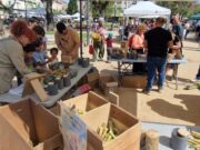 El Dia de la Terra tanca amb una participació destacada i unes valoracions molt positives a Rubí