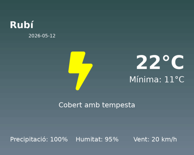 rubi_2026-05-12.png