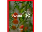 Azura acredita les seves bones pràctiques amb el segell B Corp