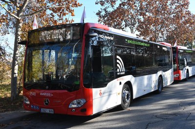 noticia_1781871429.jpg