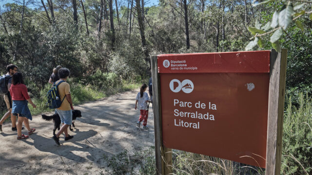 noticia_1782220705.jpg
