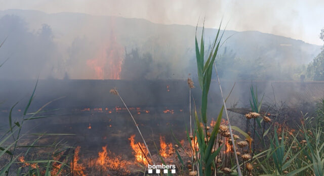 Nou incendi de vegetació a Martorell