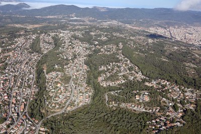 noticia_1784208535.jpg