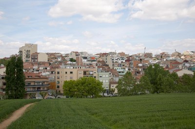 noticia_1784826700.jpg