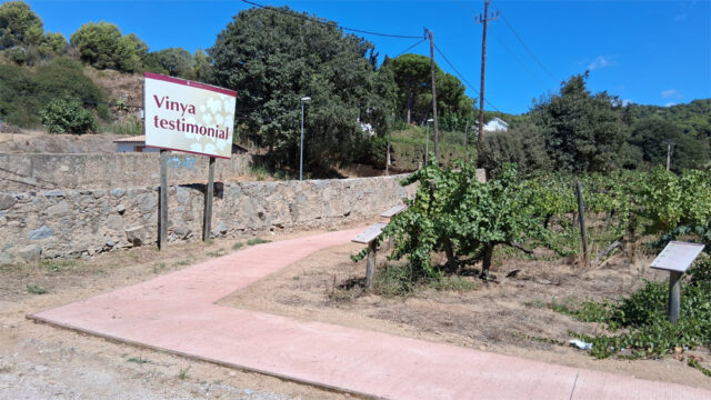 noticia_1789565379.jpg