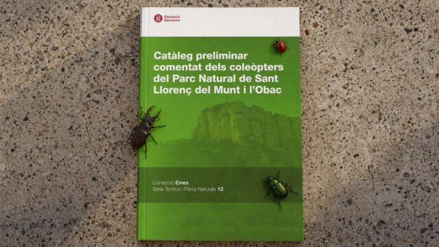 noticia_1793110695.jpg